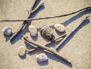 a photo of the ground focused on a pile of sticks and stones.